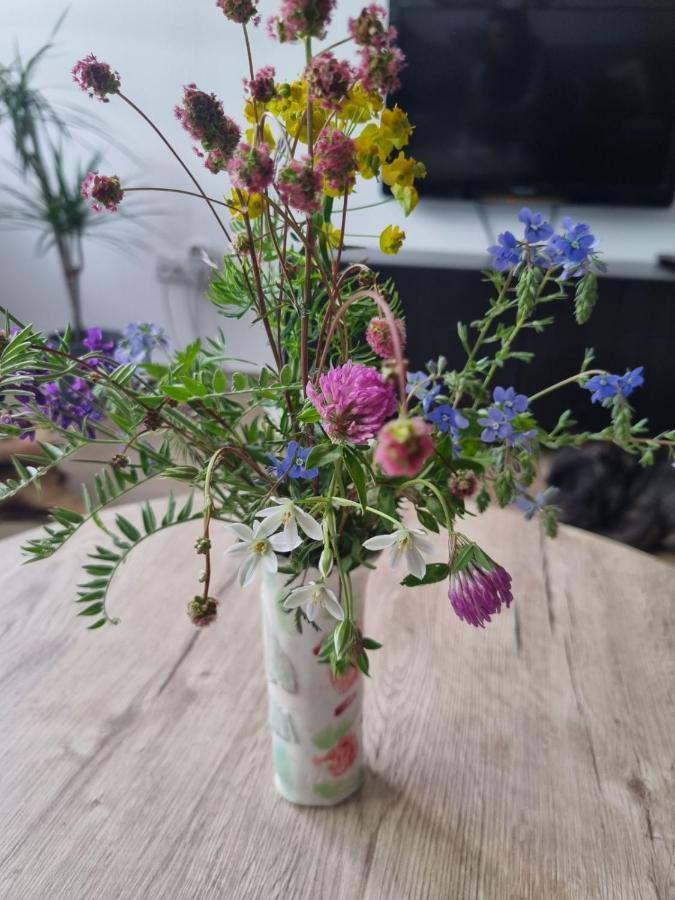 Apartman Nana Divčibare Dış mekan fotoğraf